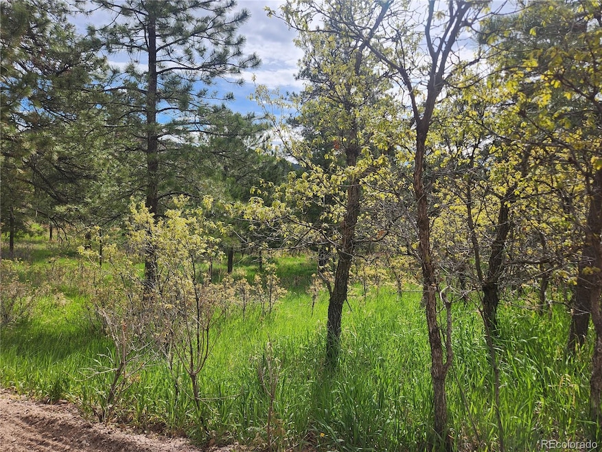 0 Buena Vista Ave unit REC5761187, Palmer Lake, CO 80133 - photo 1