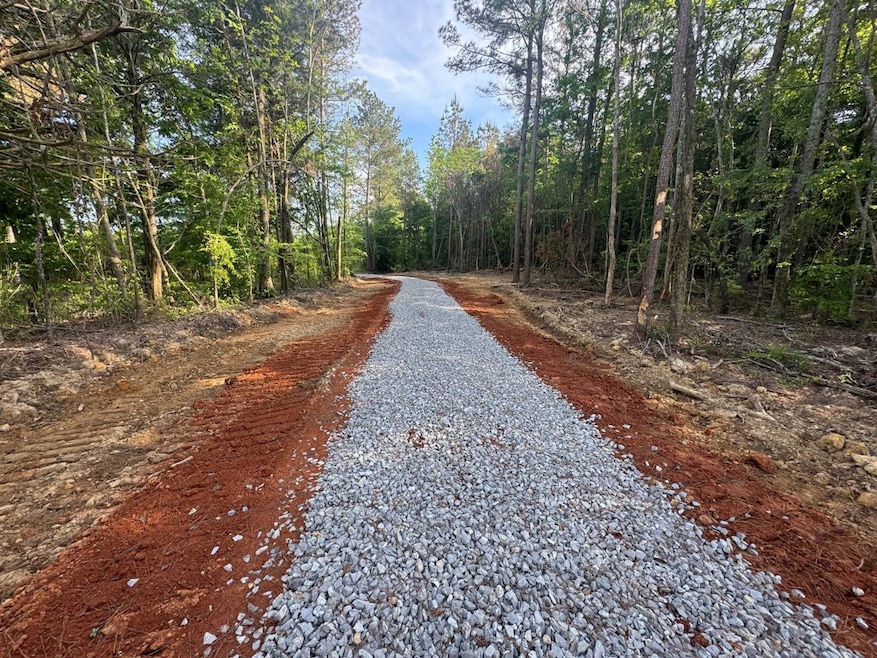 00 Sylvester Hudson Rd, Louisville, MS 39339 - photo 1