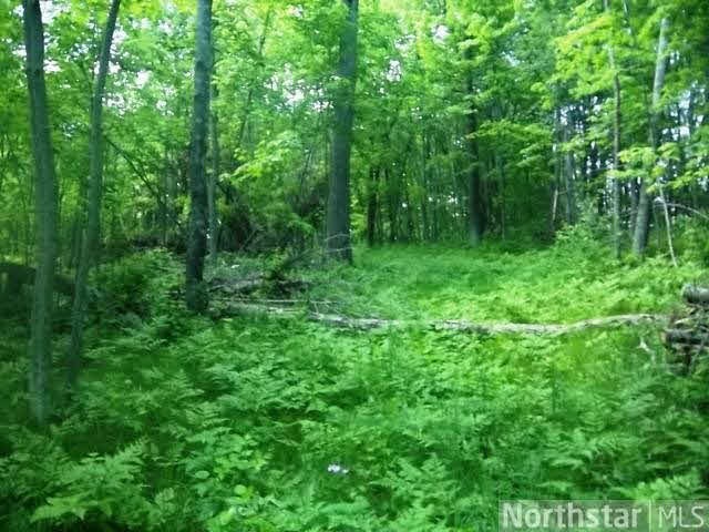 0 Moser Dr unit 4592322, Webster, WI 54893 - photo 1