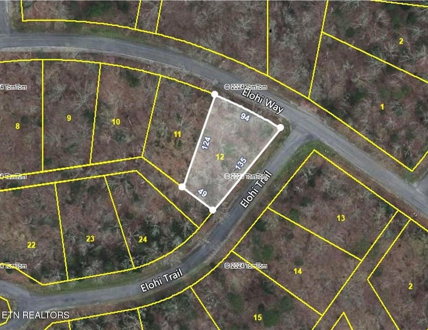 248 Elohi Way-Aerial Plat