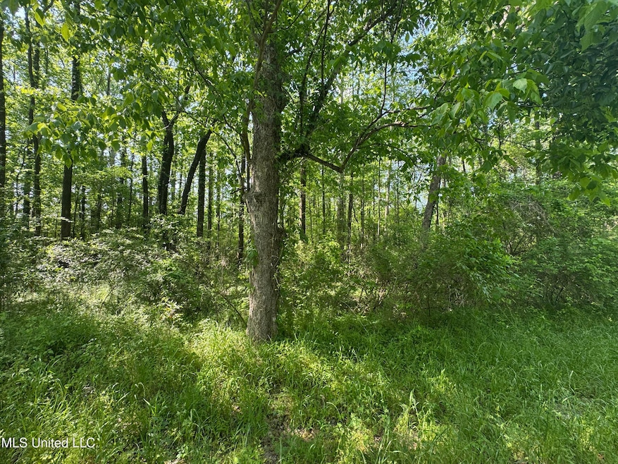 0001 Old Highway 471, Brandon, MS 39042 - photo 1