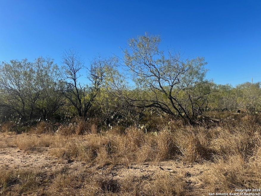LOTS 2451-2452 Avenue J, Christine, TX 78012 - photo 1
