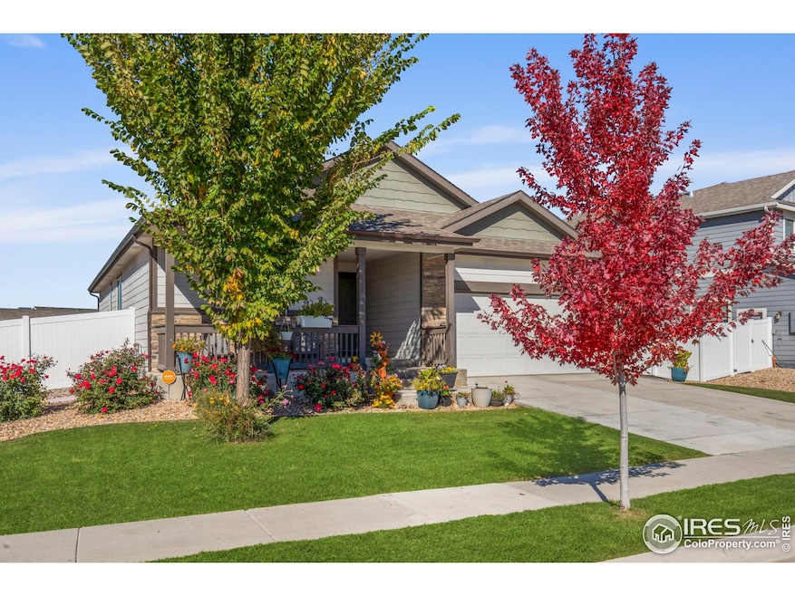 941 Barasingha St, Severance, CO 80550 - photo 1