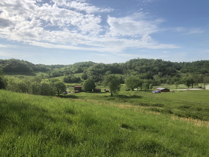 Scenic view of property from hillside