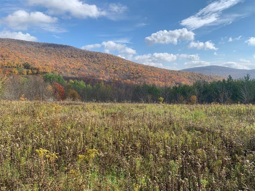 0 Narrow Notch Rd Rd unit OD132890, Yorktown Heights, NY 10598 - photo 1