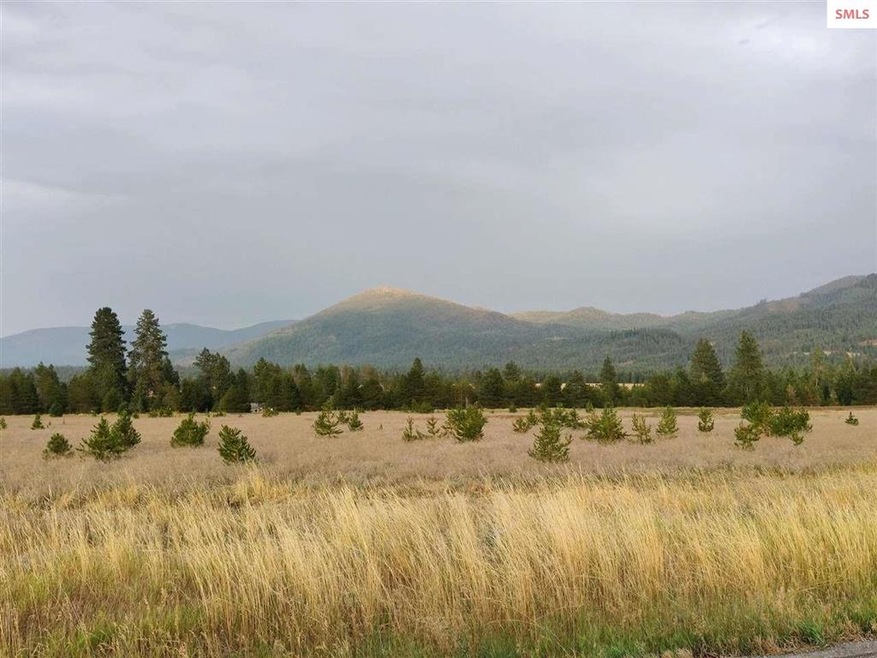 NKA N Old Highway 95 unit Lot 3, Athol, ID 83801 - photo 1