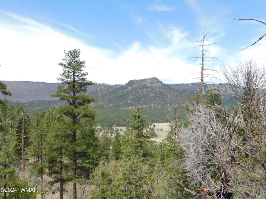 GOBBLER PEAK VIEW