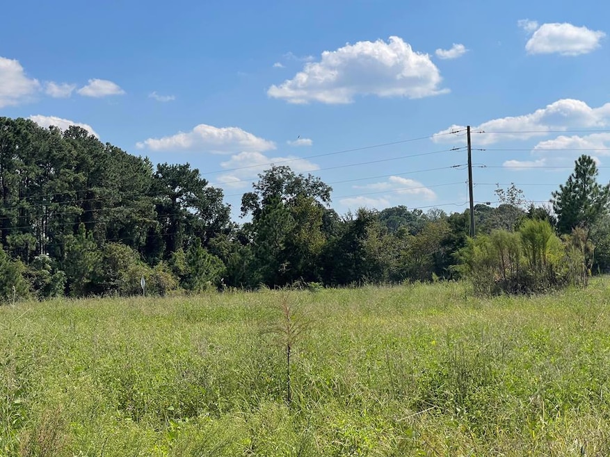 536 Lundy Rd, Sylvester, GA 31791 - photo 1