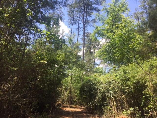 ... Wardlaw Rd, McComb, MS 39648 - photo 1