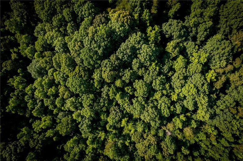 0 Carson Segars Rd unit 6908569, Maysville, GA 30558 - photo 1