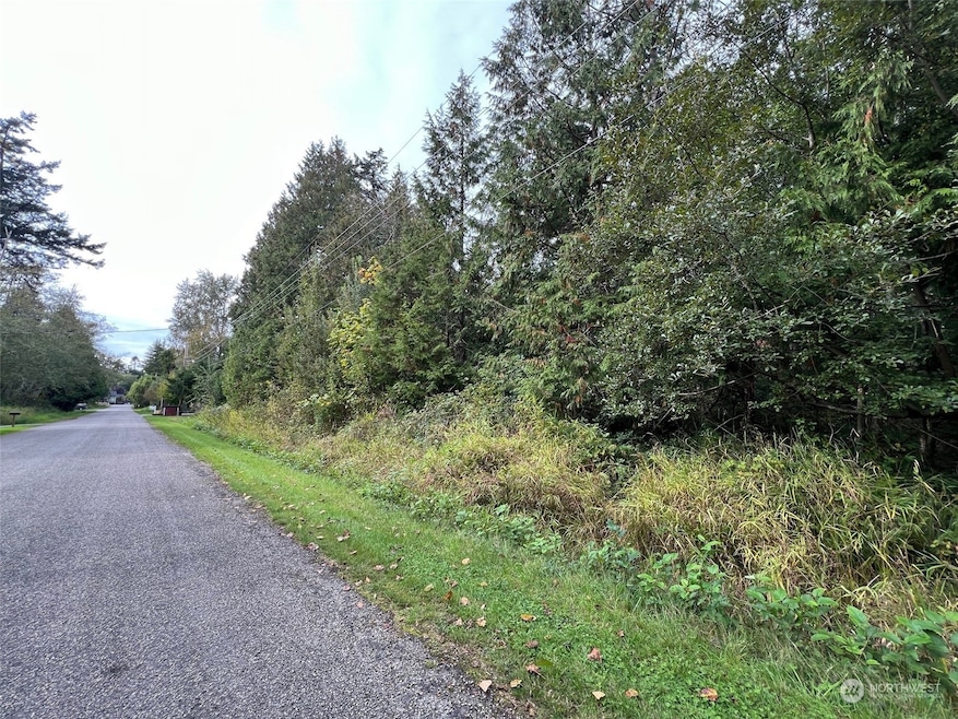 0 Lot 24 Georgia Ct, Point Roberts, WA 98281 - photo 1