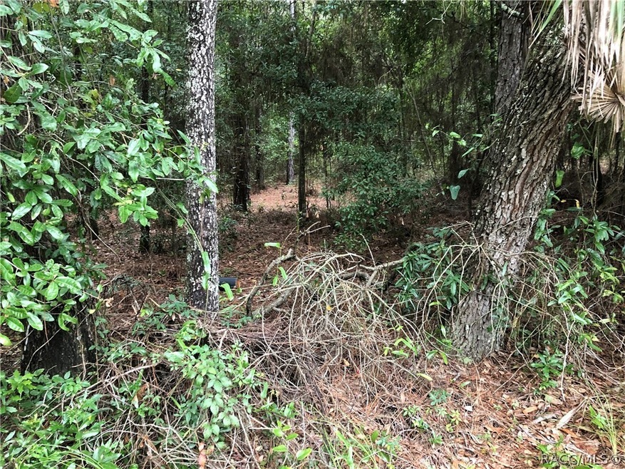Looking into Property