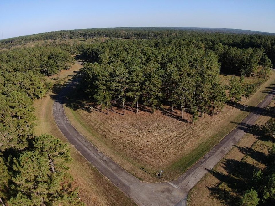 Lot 8 Mountain View Way, Bainbridge, GA 39819 - photo 1
