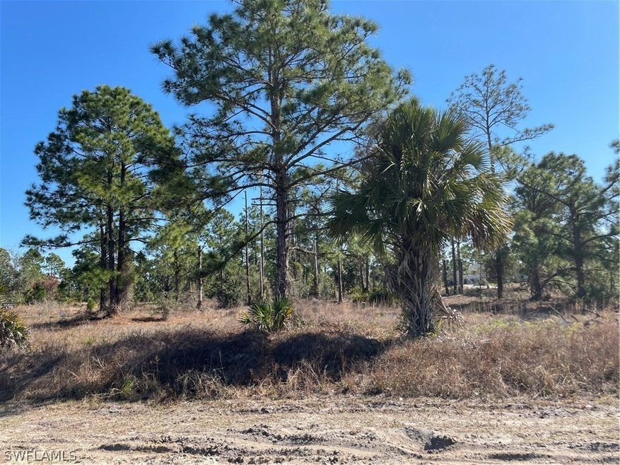 1141 Haven Ave S, Lehigh Acres, FL 33974 - photo 1