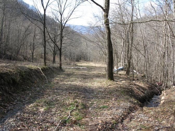 Entrance road
