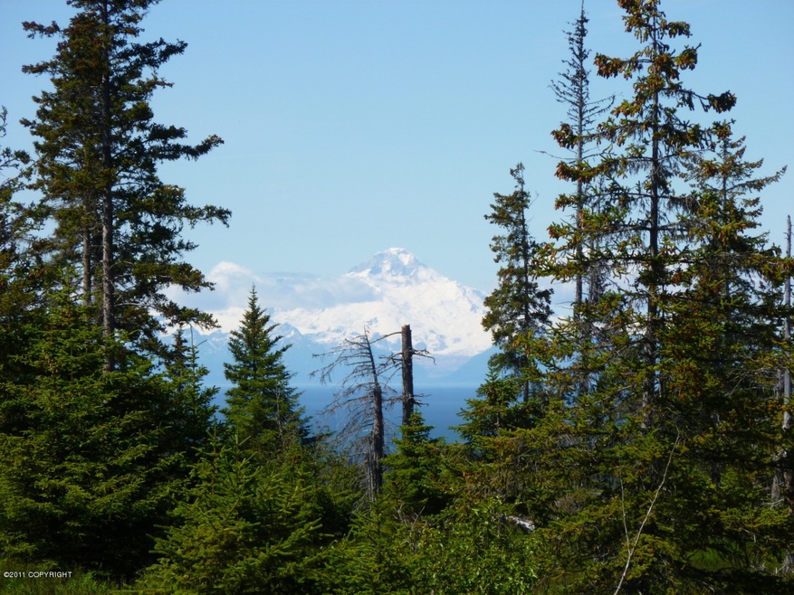 Illiamna View