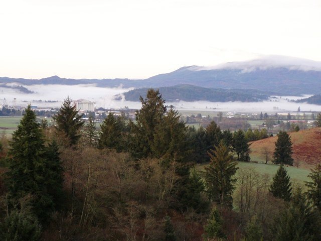 MayerView