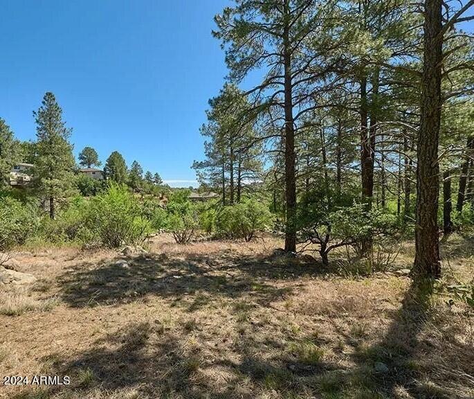 412 White Spar Rd unit 1, Prescott, AZ 86303 - photo 1
