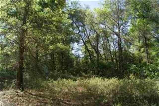 0 Barber Rd, Crawfordville, FL 32327 - photo 1