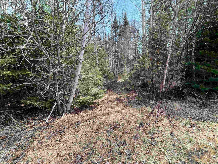 33 Leigh Ln unit 28, Colebrook, NH 03576 - photo 1