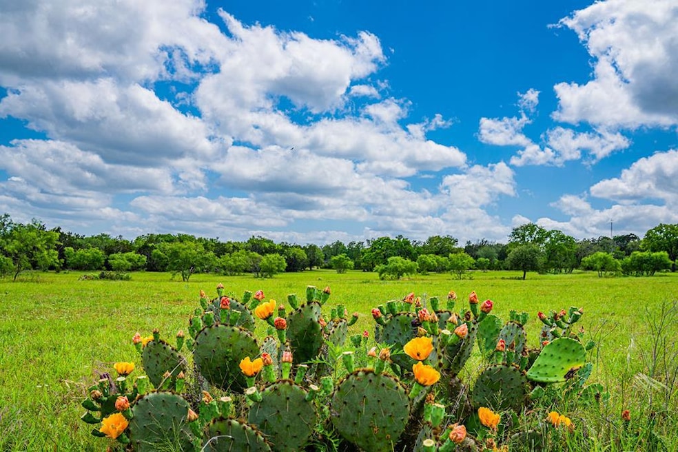 1085 Hollmig Ln, Fredericksburg, TX 78624 - photo 1