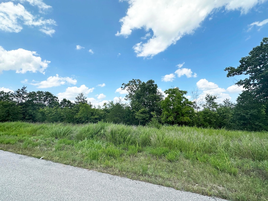 235 Shady Oaks Shore unit Lot 45, Forsyth, MO 65653 - photo 1