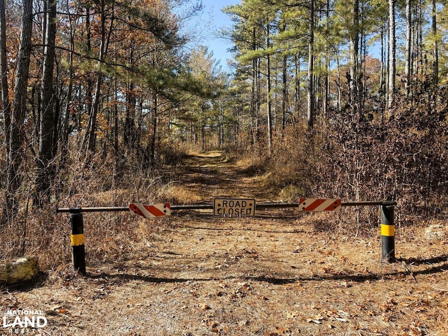 0 Pocket Rd, Lafayette, GA 30728 - photo 1