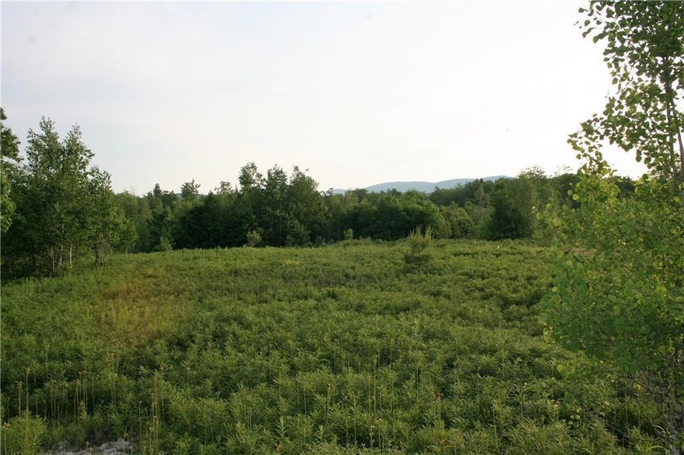 0 Frost Farm Rd Rd unit 1257031, Bridgton, ME 04009 - photo 1