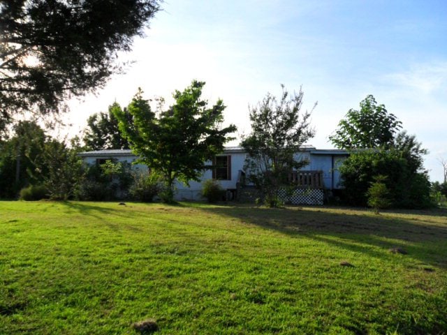 Main View