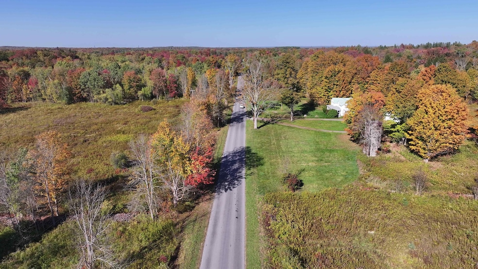 287 White Rd, Parish, NY 13131 - photo 1