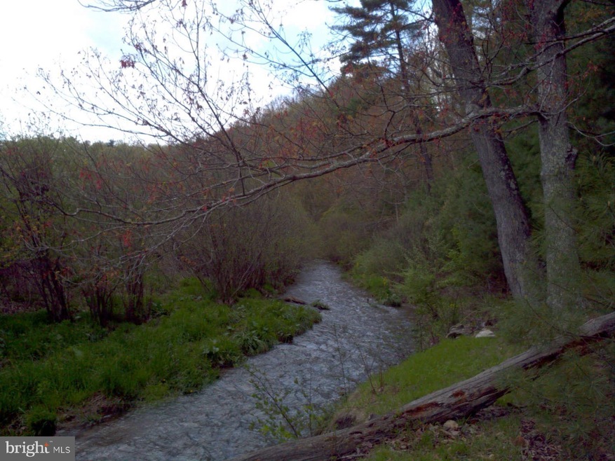 0 Native Trout Ln unit 1003504916, Moyers, WV 26815 - photo 1