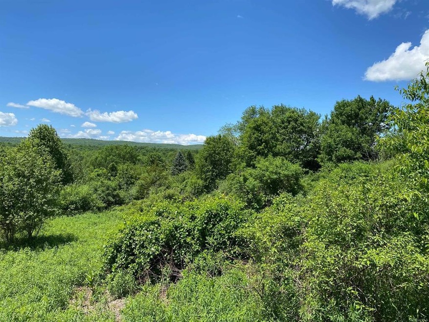 1 Westerly Ridge Dr, Amenia, NY 12501 - photo 1