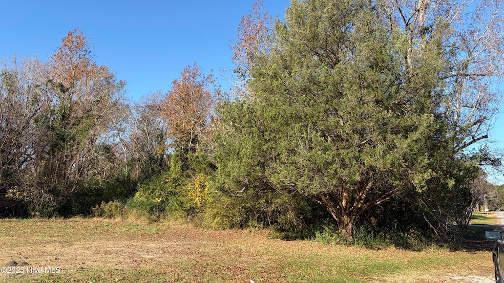 0 George St, Belhaven, NC 27810 - photo 1