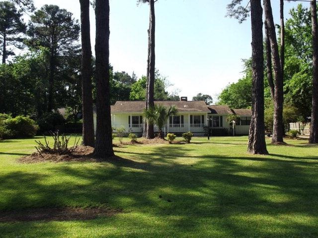 Main View
