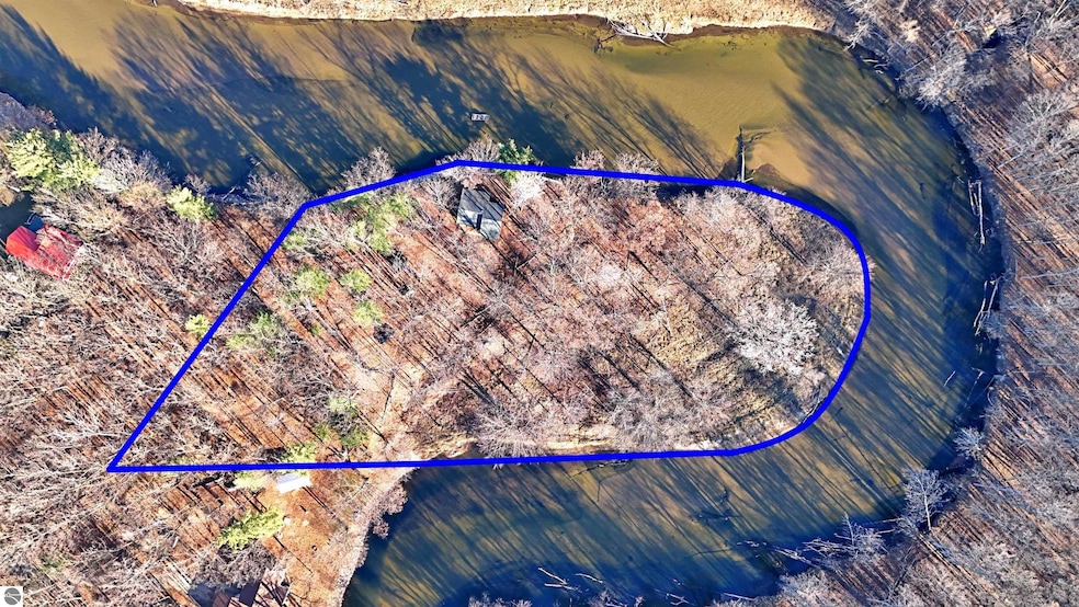 9642 Birch Ln, Evart, MI 49631 - photo 1