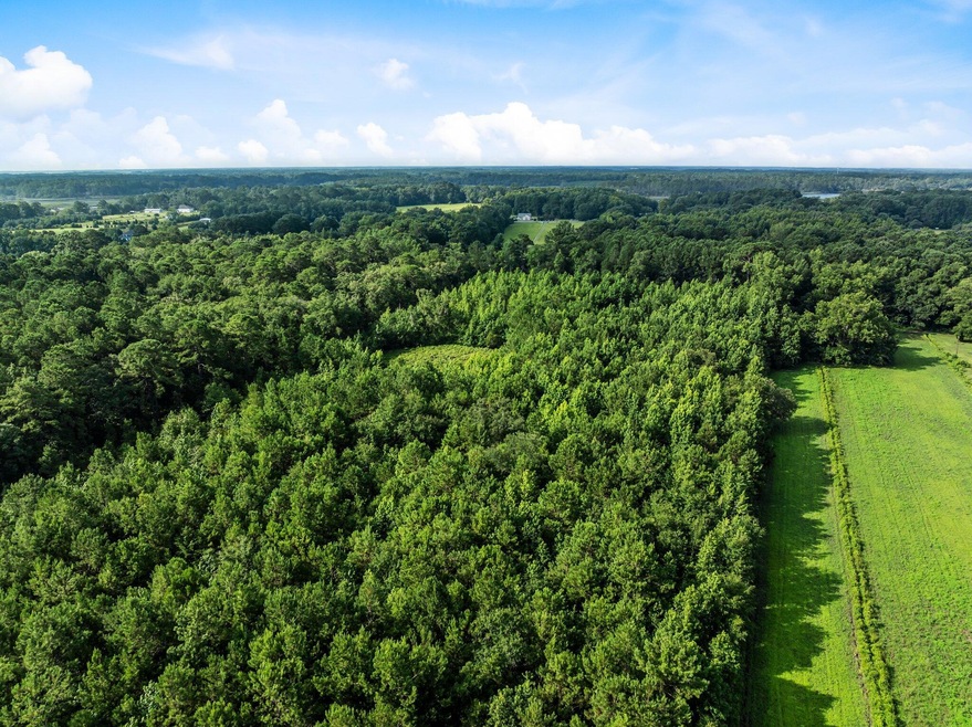 0 Oakville Rd unit 25032033, Hollywood, SC 29449 - photo 1