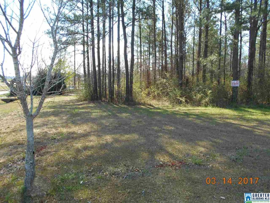 Great level corner lot in Montcrest subdivision