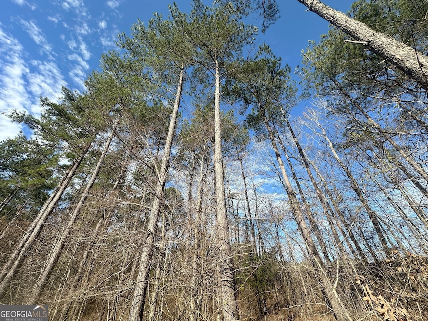 0 Ruckersville Rd unit 10490441, Elberton, GA 30635 - photo 1