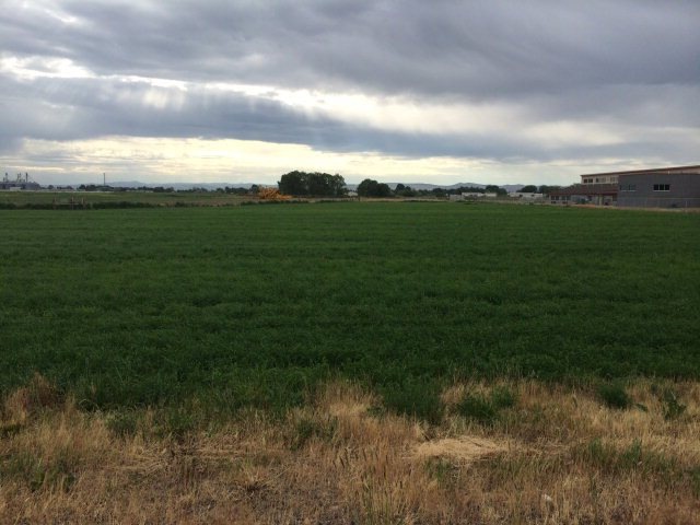 TBD N 550 W, Blackfoot, ID 83221 - photo 1