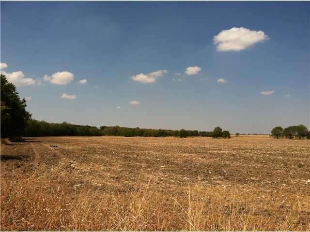Land