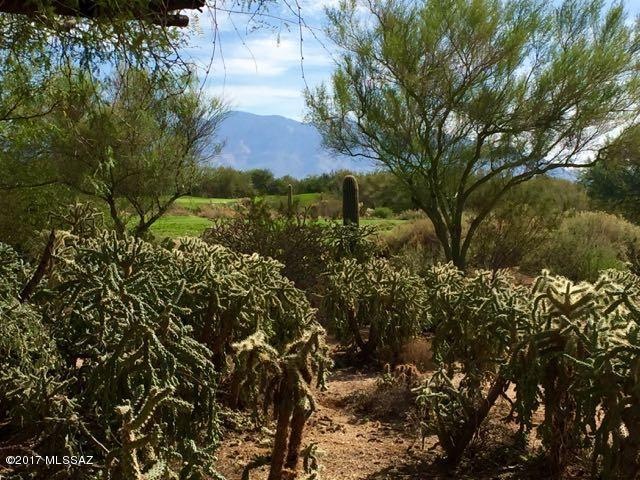 VIEWS -Fairway-Mtns