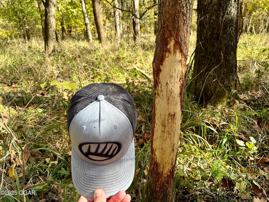 000 Pine Rd, Carthage, MO 64836 - photo 1