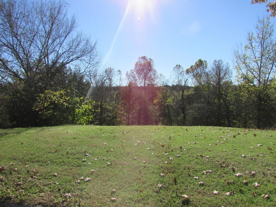 Tbd Peach Brook, Nixa, MO 65714 - photo 1