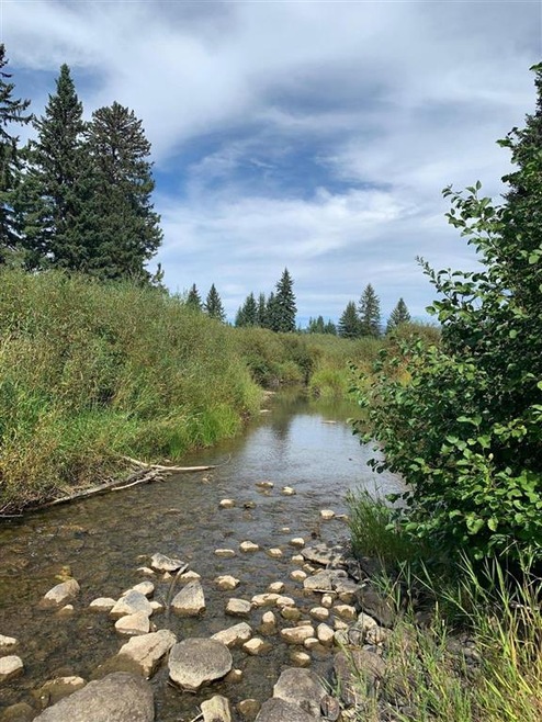 Creek frontage