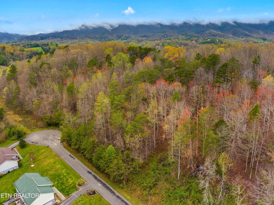 006-EnglishFieldsDrive-Newport-TN-37821-