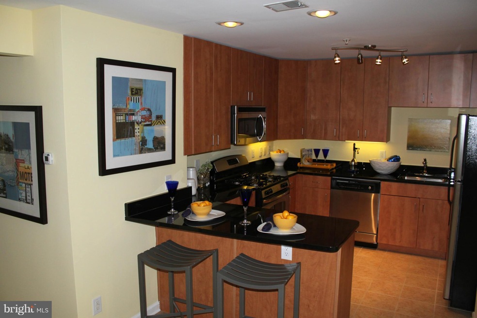 1138 Cove Rd unit 302, Annapolis, MD 21403 - photo 1