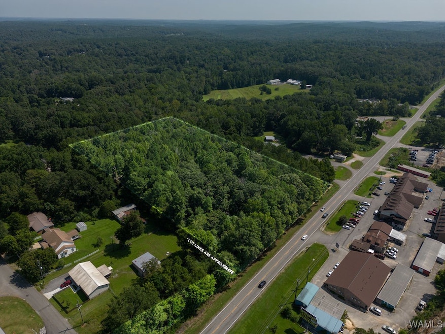 00 University Blvd E, Cottondale, AL 35453 - photo 1