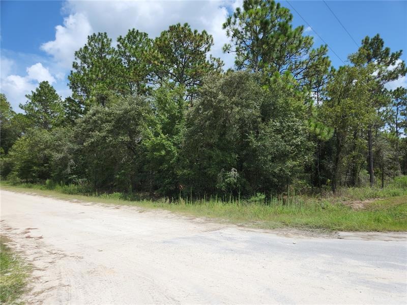 SW 94 TH LANE LOOKING EAST FROM PAVED ROAD 129TH great lot on top of the hill