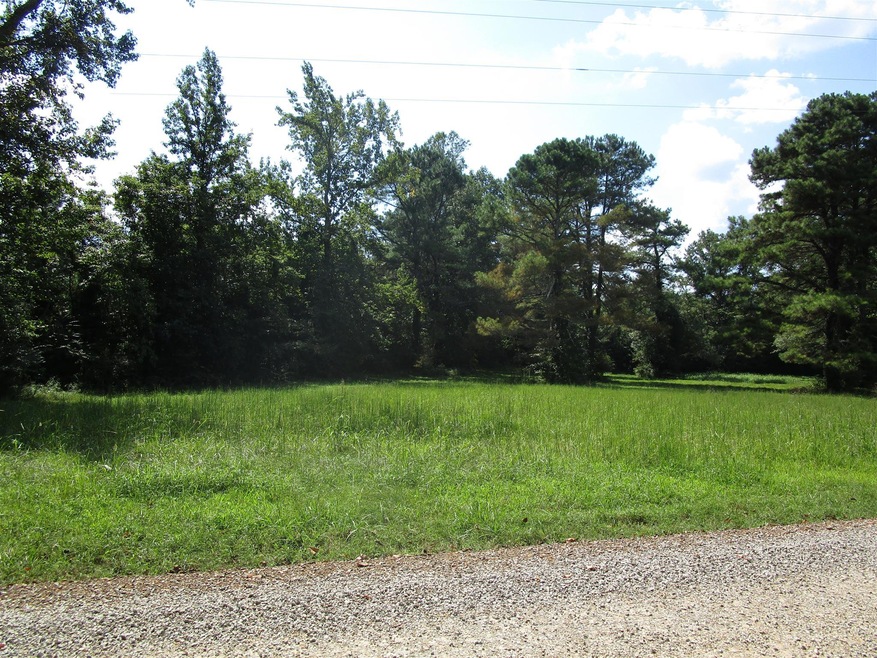 224 Old Poplar School Rd, Prospect, TN 38477 - photo 1