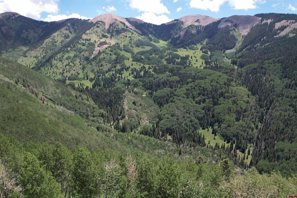TBD Forest Service Road 567, Mancos, CO 81328 - photo 1